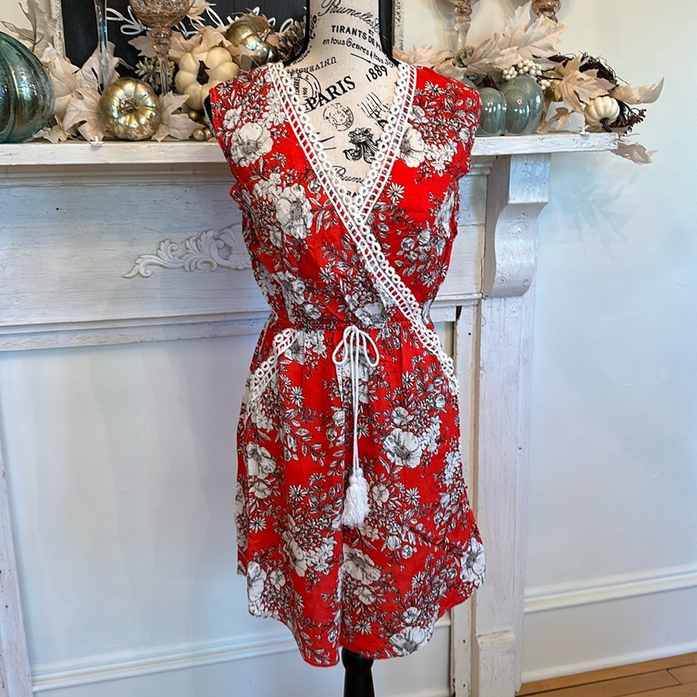 Hummingbird dress